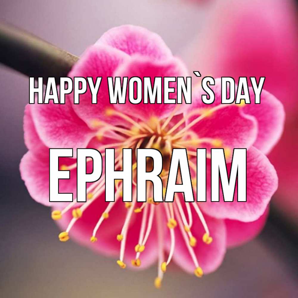 Greetings card с именем, Ephraim happy women`s day цветы Greetings with text for free download 